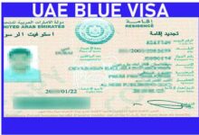 UAE BLUE VISA